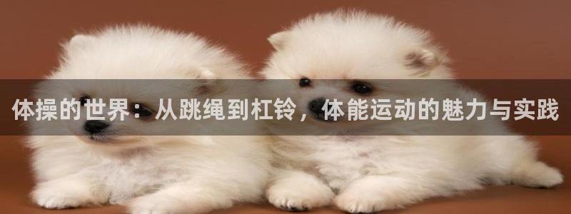 oety欧亿体育官网下载:体操的世界:从跳绳到杠铃,体能运动