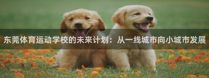 欧亿体育官方正版app代理:东莞体育运动学校的未来计划:从一