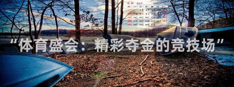 oety欧亿体育官网下载招商电话地址:“体育盛会:精彩夺金的