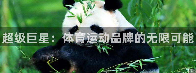 oety欧亿体育官网下载平台假的吗是真的吗吗:超级巨星:体育